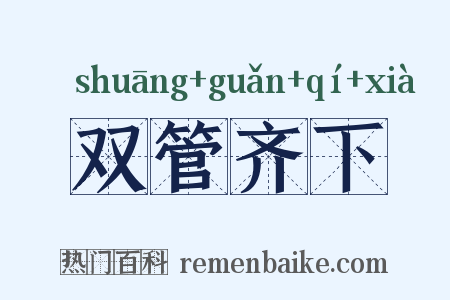 双管齐下是什么意思的图片